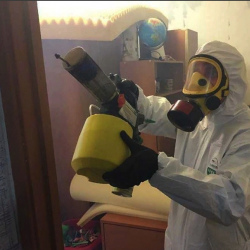 Уничтожение клопов в квартире. Тюмень
